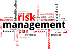 Introduction to Risk management